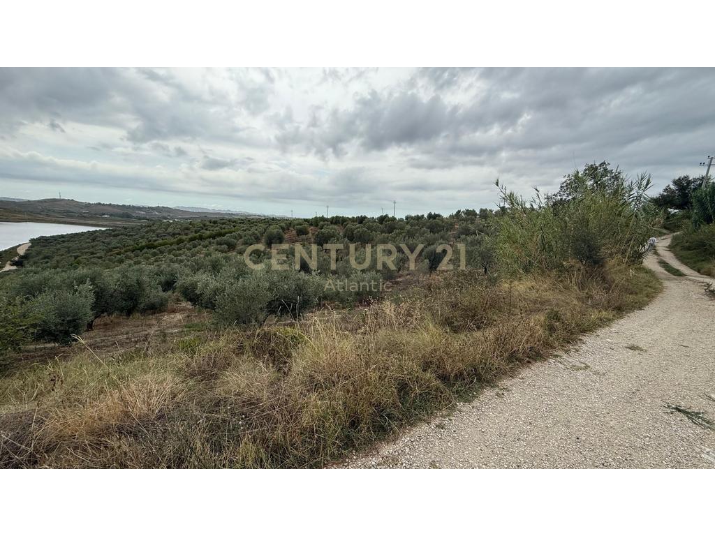Tokë Për Shitje në Periferi Te Shijakut - 315,000€ | 10459 m²