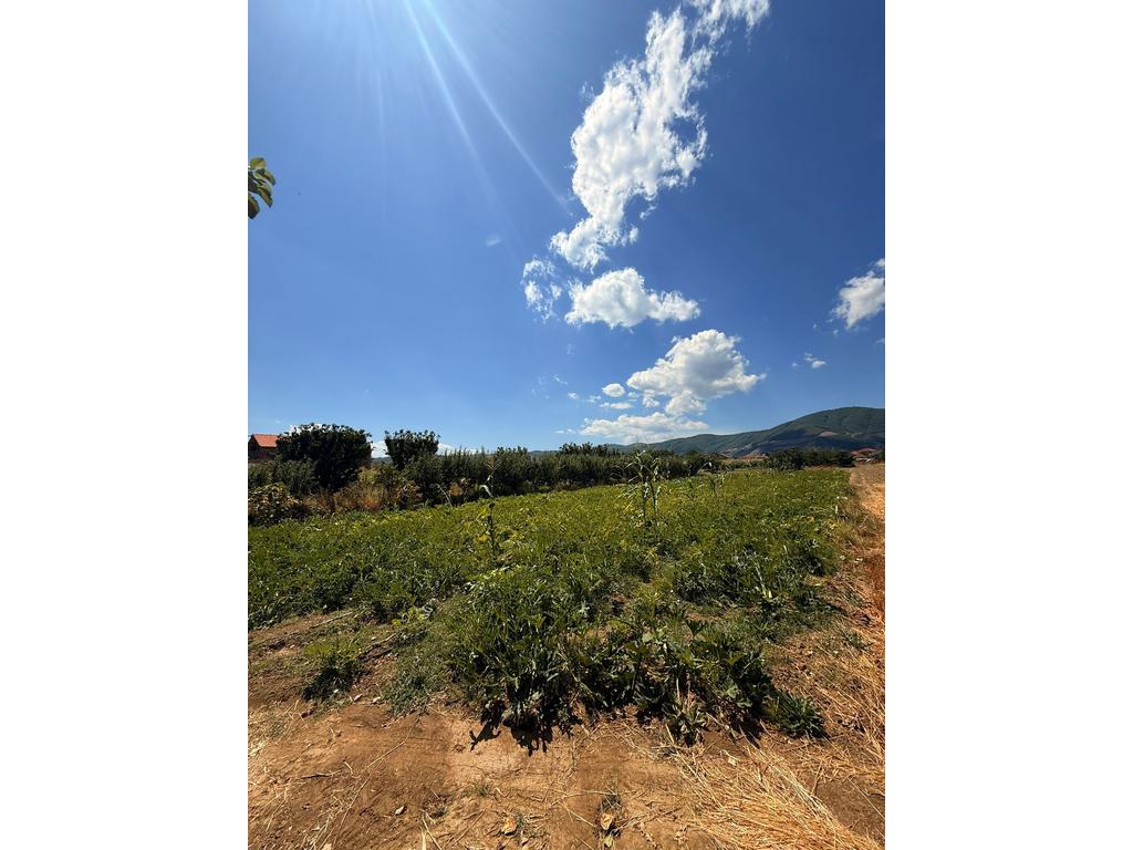 MBRAPA SHKOLLËS NEHEMIA – SHITET TOKË ME 1934 M²