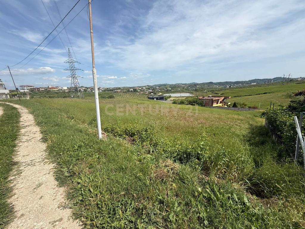 SHITET TOKE ME PAME LIQENI NE ARAPAJ 4319M2