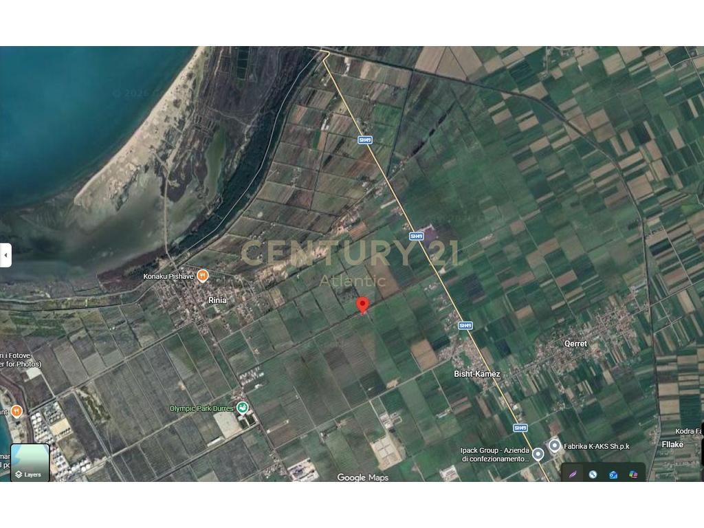 SHITET TOKE NE SEKTOR 27000 M2 25 EURO M2!!!!
