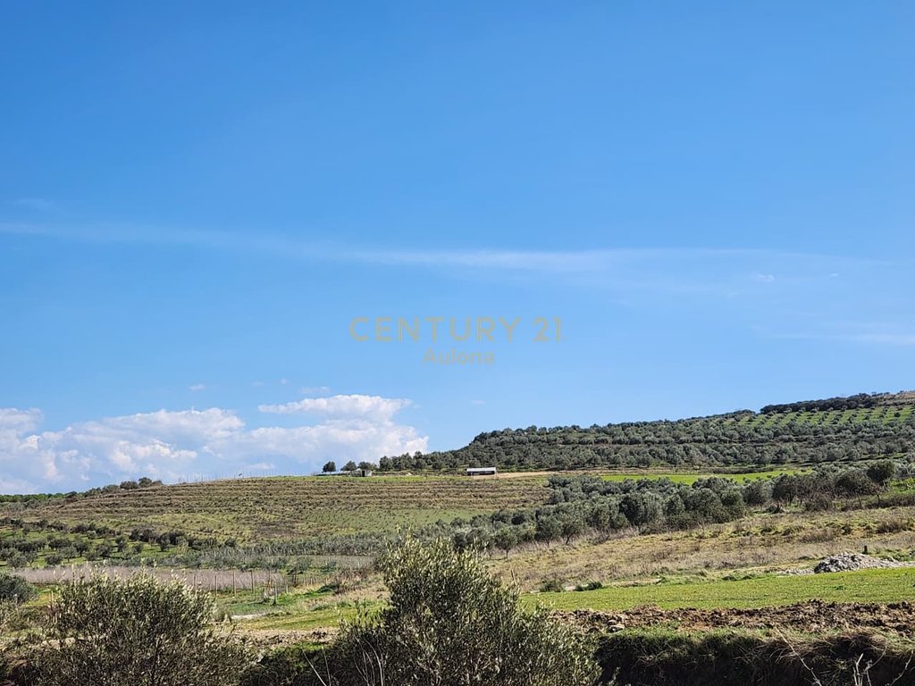 Tokë Ullishte për Shitje pranë Bypass-it, Vlorë