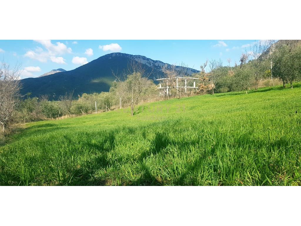 TOKE 1400 M2 PER SHITJE NE PELLUMBAS !