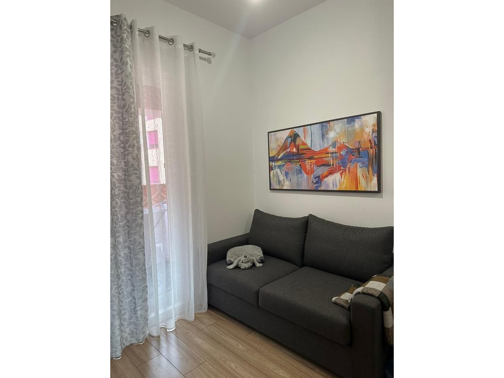 Apartament 1+1 Me Qira në Ali Demi, Tiranë