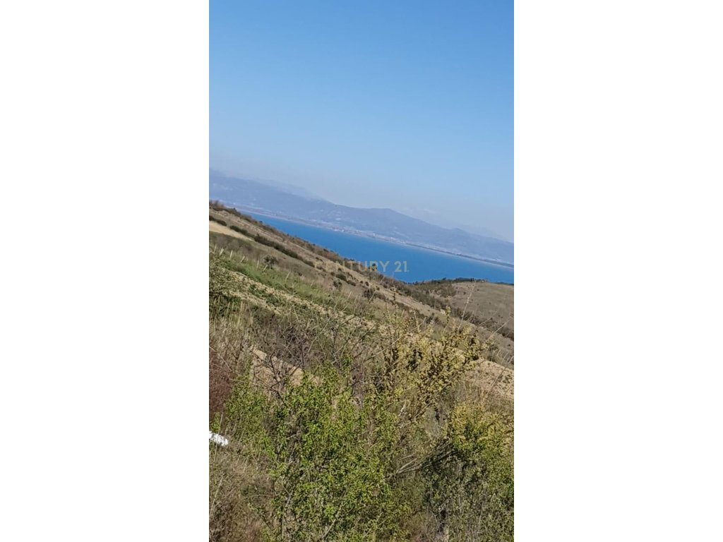SHITET  TRUALL  ME NJOLLE NDERTIMI NE SHETAJ KEPI RODONIT !