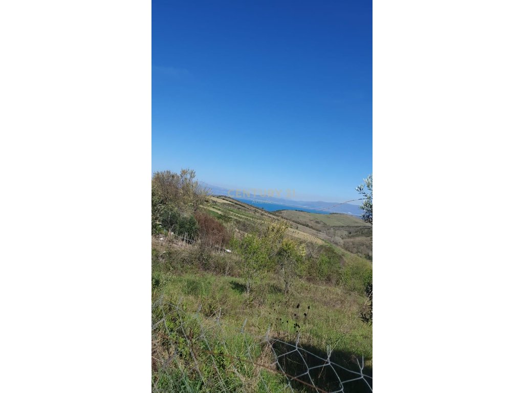 SHITET  TRUALL  ME NJOLLE NDERTIMI NE SHETAJ KEPI RODONIT !