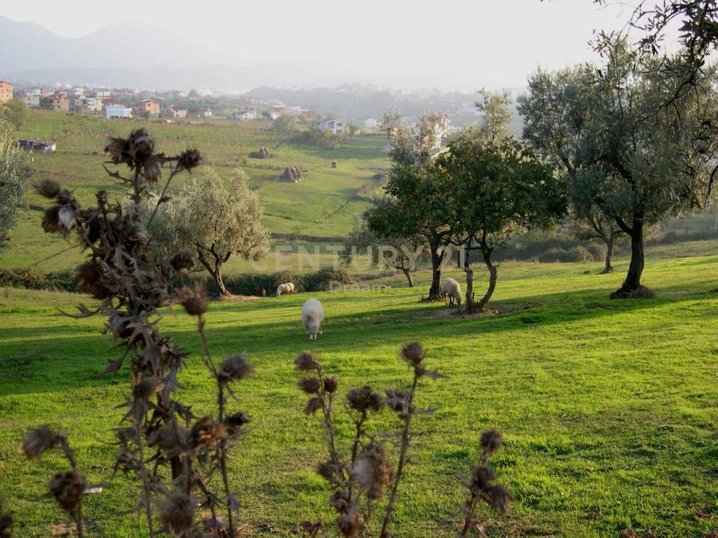 SHITJE | Tokë në Farkë të Vogël – Ideale për Vilë