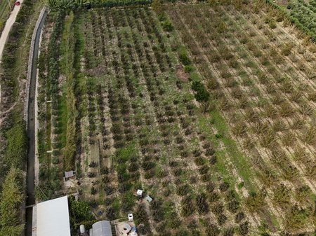 Tokë për shitje në periferi të Sarandës, Metoq - 60,000€ | 500 m²