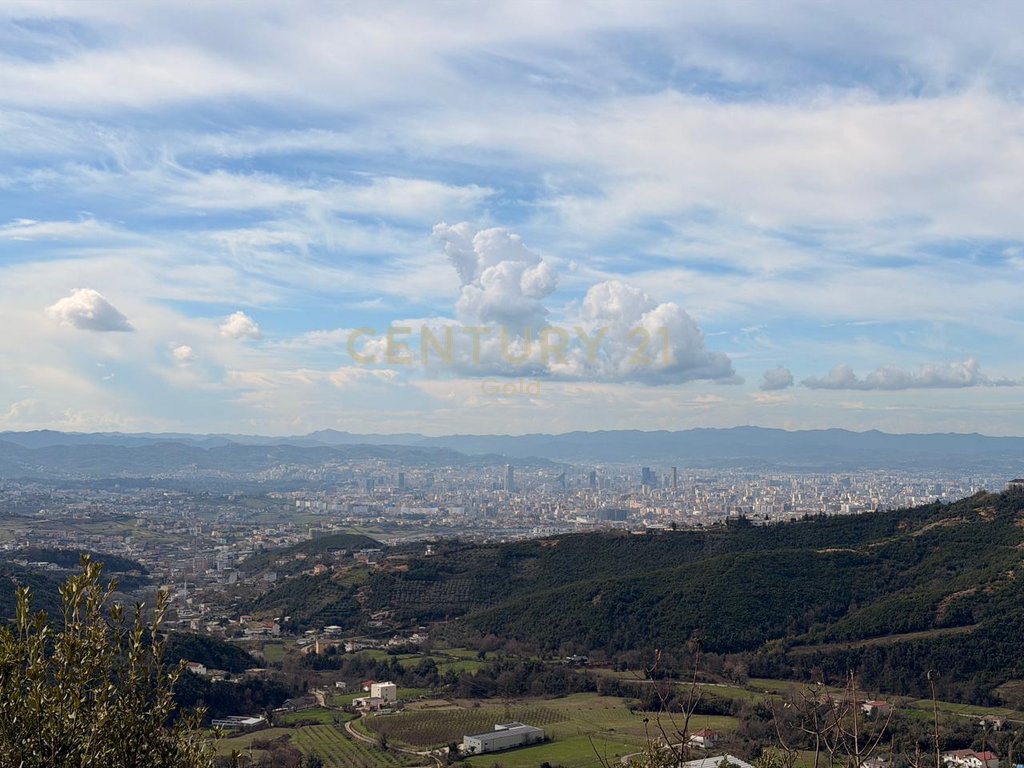 NE ZONEN E DAJTIT PRANE SELECT HILL SHITET TOKE 8000 m²