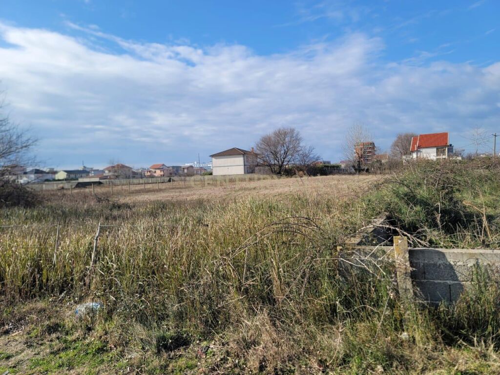 SHITET TOKE NE PLAZHIN E VELIPOJES