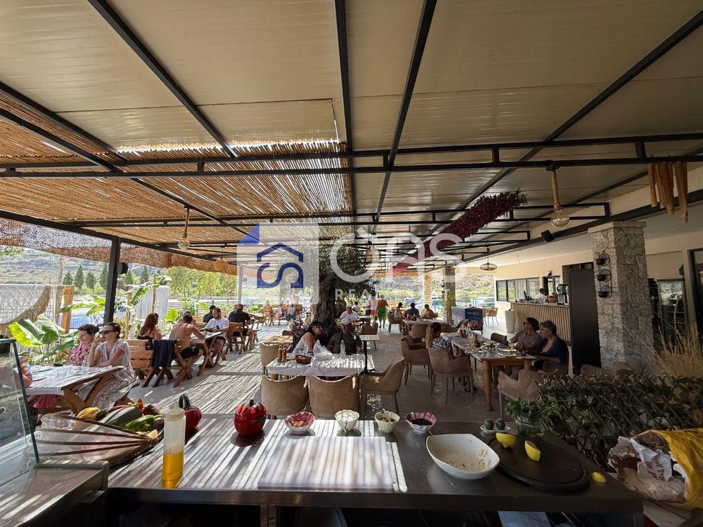 JEPET ME QIRA RESTORANT NE QEPARO (POZICIONI UNIK BUZE DETIT)