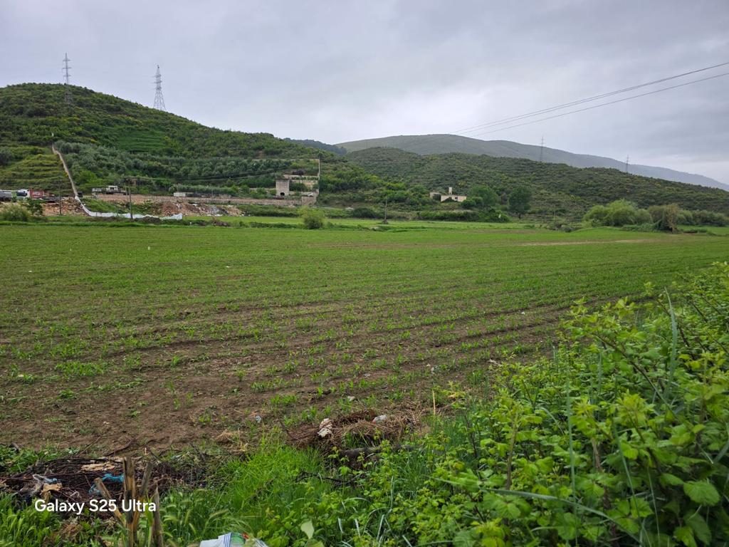 SHELEGAR, SARANDE, SHESIM TOKE BUJQESORE