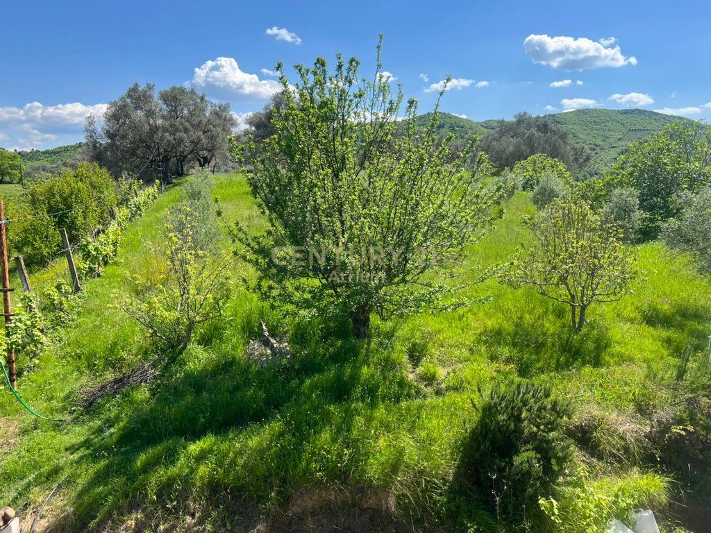 SHITET TOKE ME PAMJE PANORAMIKE NGA LIQENI I KASHARIT!