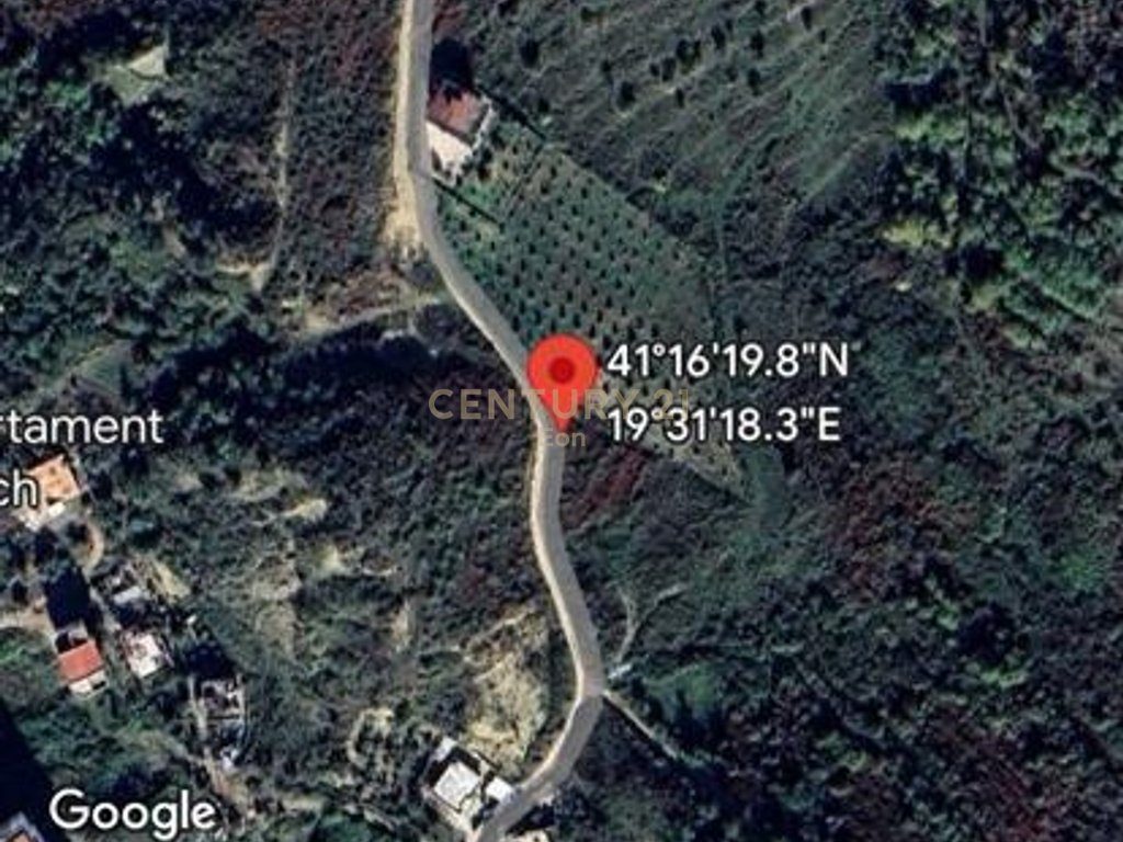 SHITET TOKE ME PAMJE DETI TEK MALI I ROBIT, DURRES!