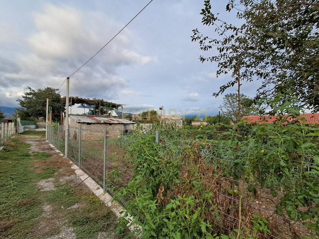 Shtëpi private + toke Në Shitje në Boric i Vogel, Shkodër   | 2225 m²