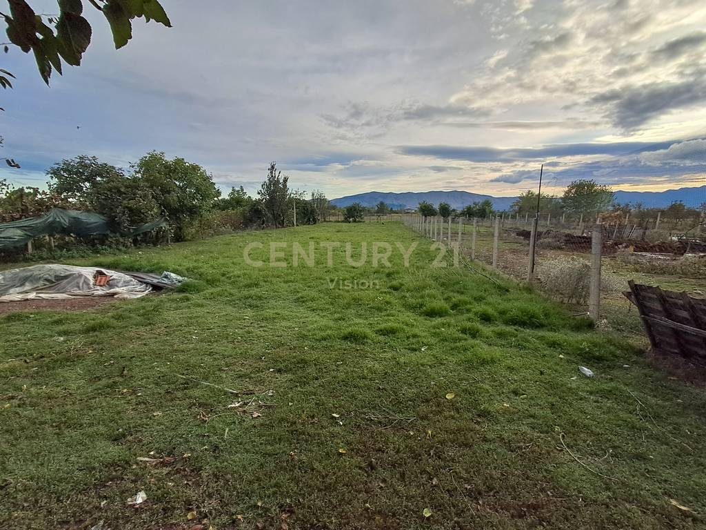 Shtëpi private + toke Në Shitje në Boric i Vogel, Shkodër   | 2225 m²
