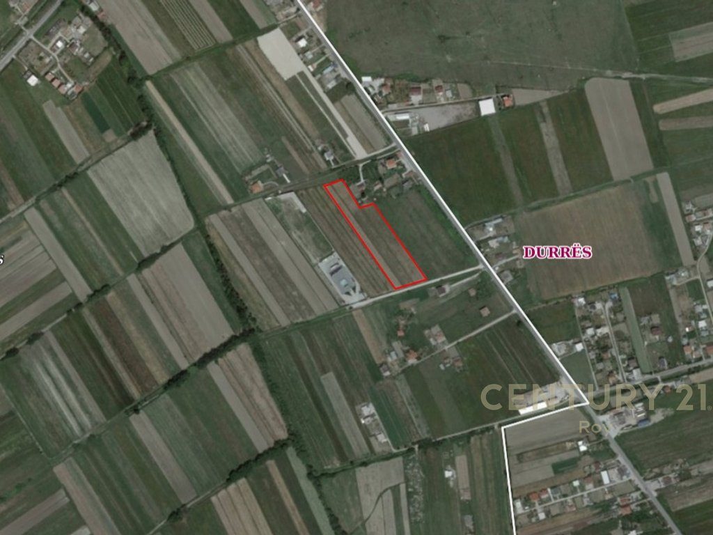 TOKE ARE PER SHITJE NE ZONEN FLLAKE SHUME PRANE AUTOSTRADES !!!