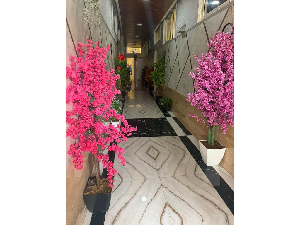 Apartament 1+1 Me Qira në Ali Demi, Tiranë