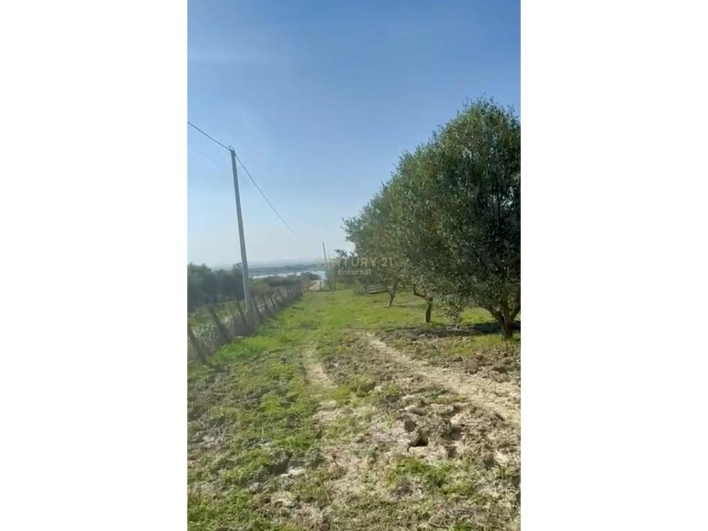 Toke Komerciale Per Shitje e Pershtatshme per Agroturizem !