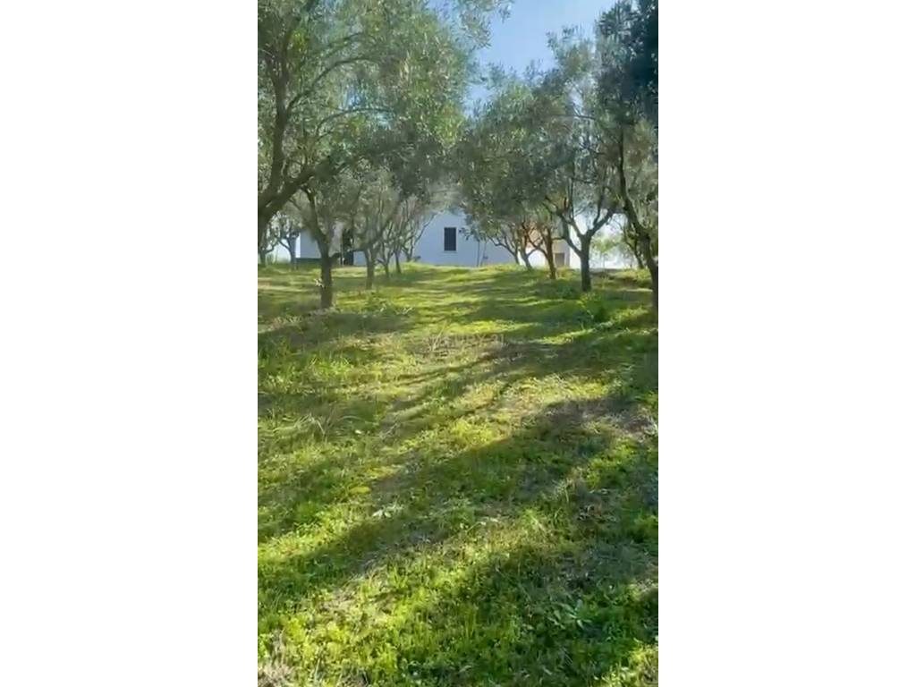 Toke Komerciale Per Shitje e Pershtatshme per Agroturizem !