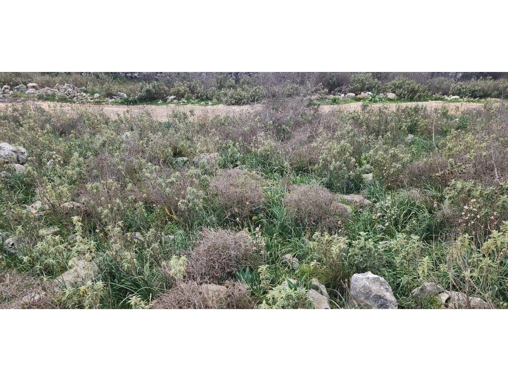 SARANDE, SHESIM TRUALL ME PAMJE NGA DETI