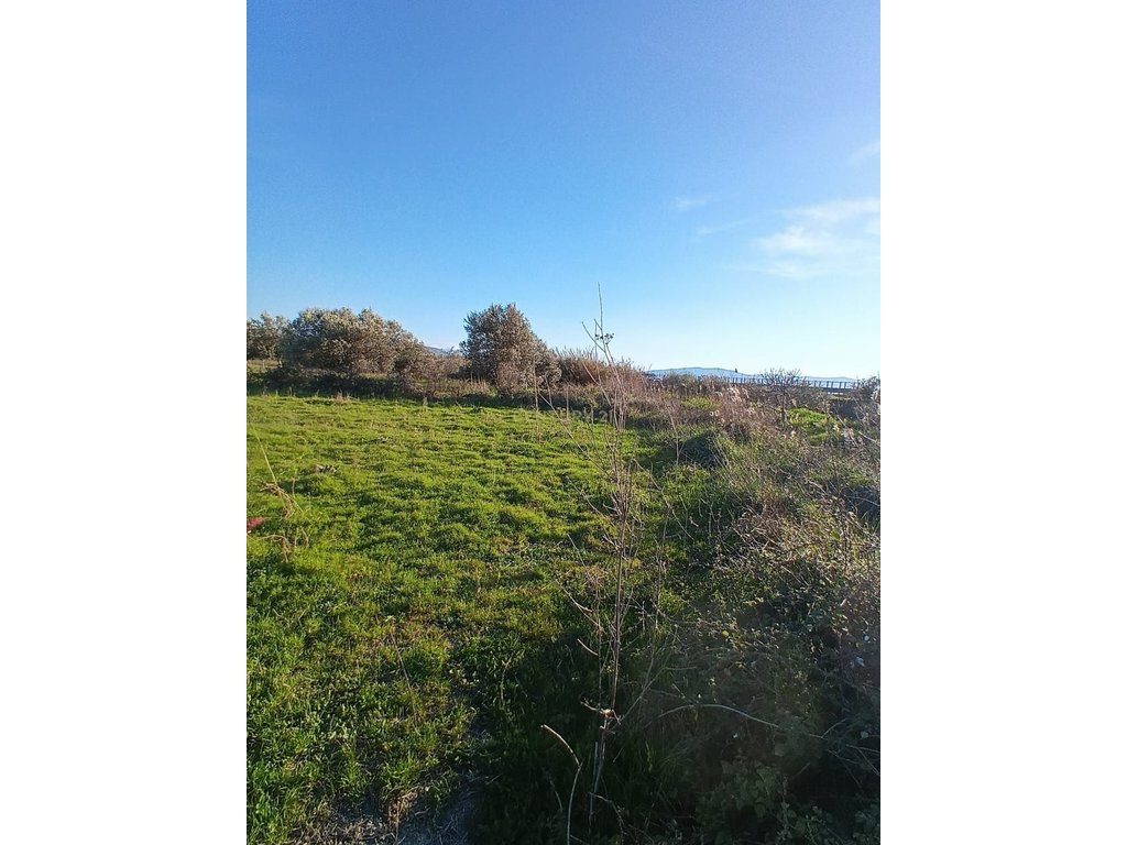 SHITET  1000 M² – TOKË NË "PANAJA"