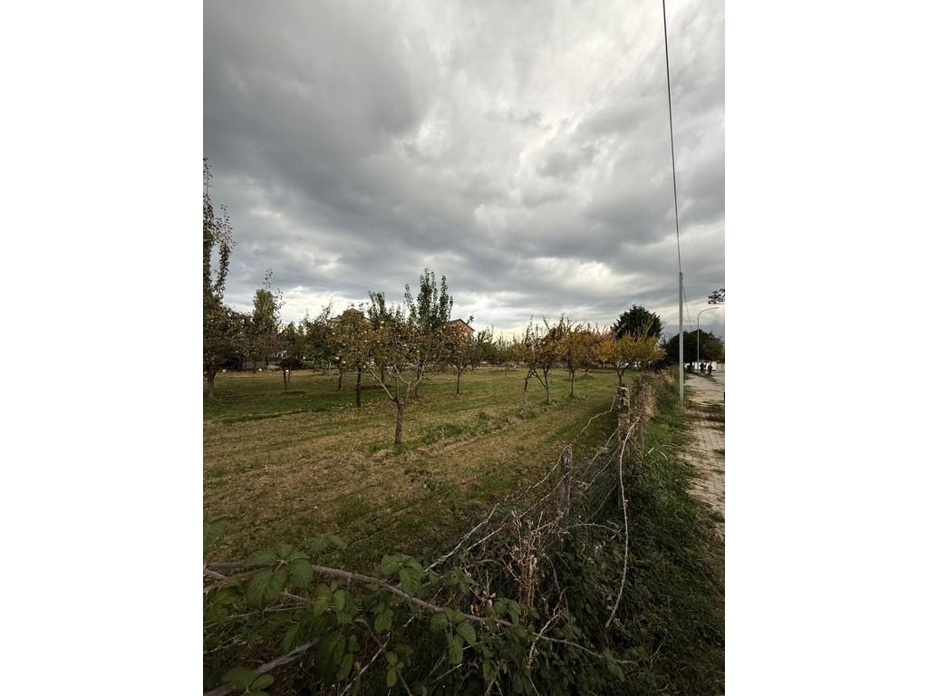 TOKË PËR SHITJE NË BUÇIMAS, POGRADEC – MUNDËSI SHUMË E MIRË PËR INVESTIM OSE NDËRTIM