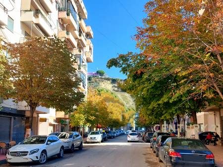 SHITET NJESI SHERBIMI NE BULEVARDIN "VLORE-SKELE"