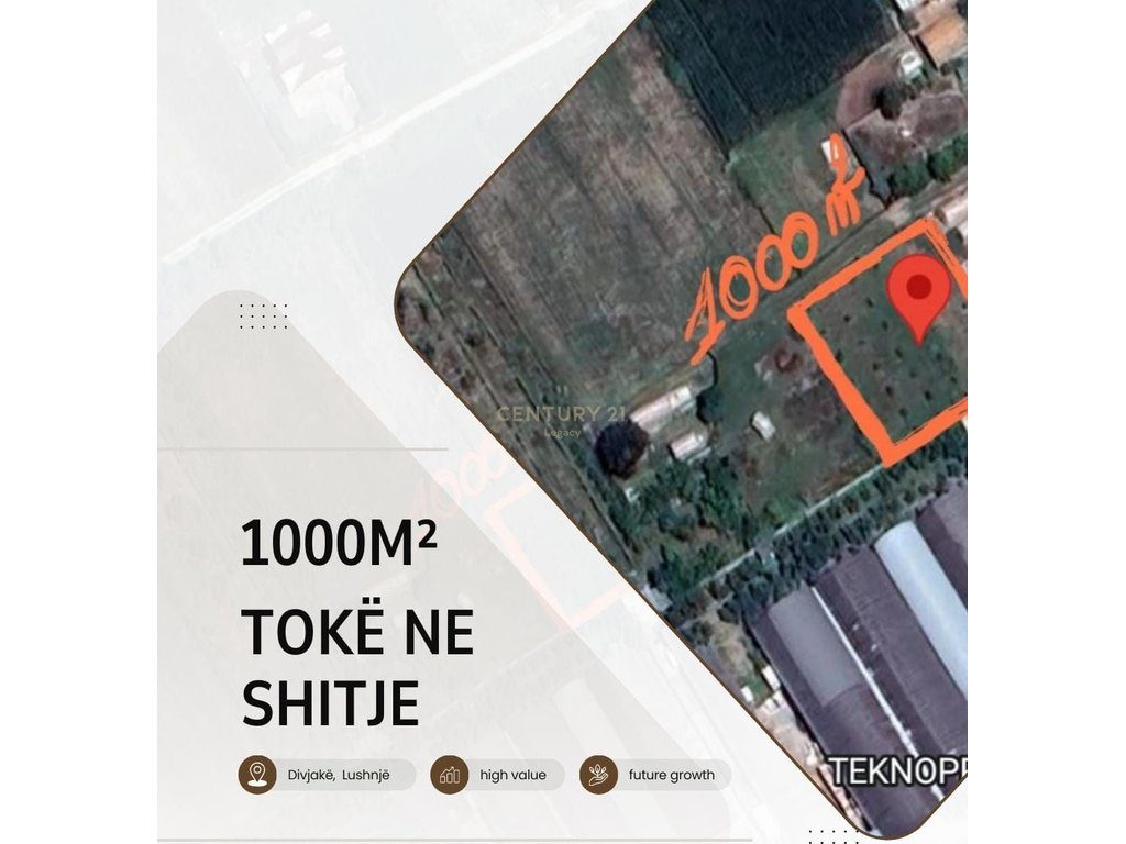 Shitet 1000m² Tokë Truall në Plug, Lushnjë ‼️