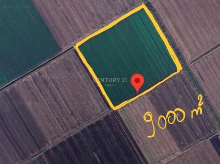Shitet 1000m² Tokë Truall në Plug, Lushnjë ‼️