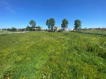 Shitet 4,000 m² Vresht në Prodhim + 1,344 m² Truall me Shtëpi 1-Katëshe, Vadardhë – Durrës