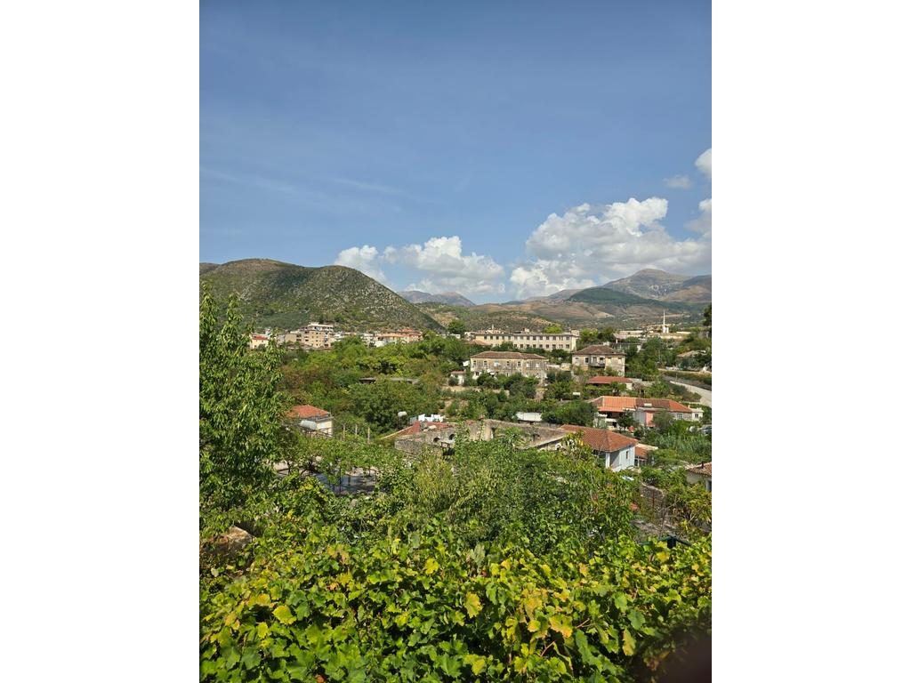 DELVINE, SHESIM VILE DY-KATESHE