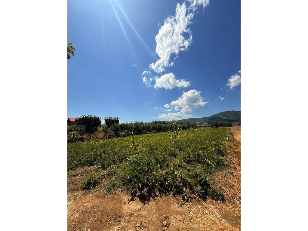 MBRAPA SHKOLLËS NEHEMIA – SHITET TOKË ME 1934 M²