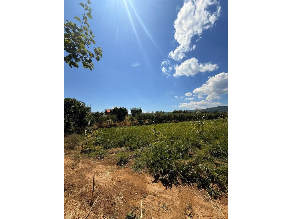 MBRAPA SHKOLLËS NEHEMIA – SHITET TOKË ME 1934 M²