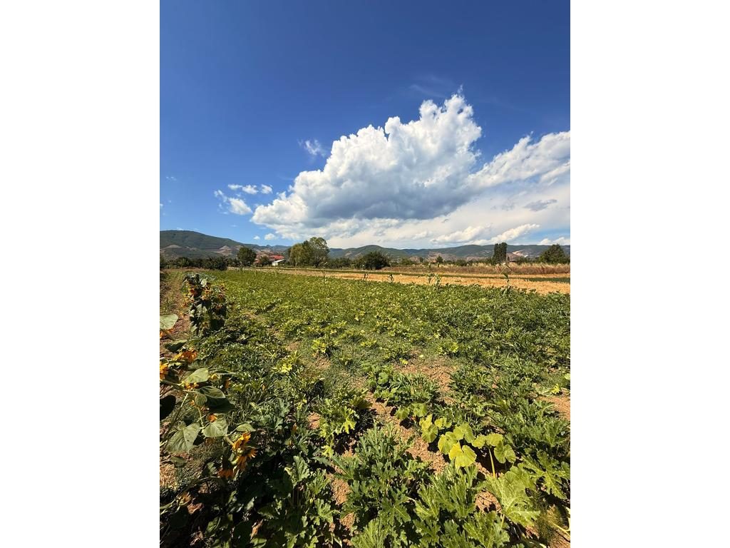 MBRAPA SHKOLLËS NEHEMIA – SHITET TOKË ME 1934 M²