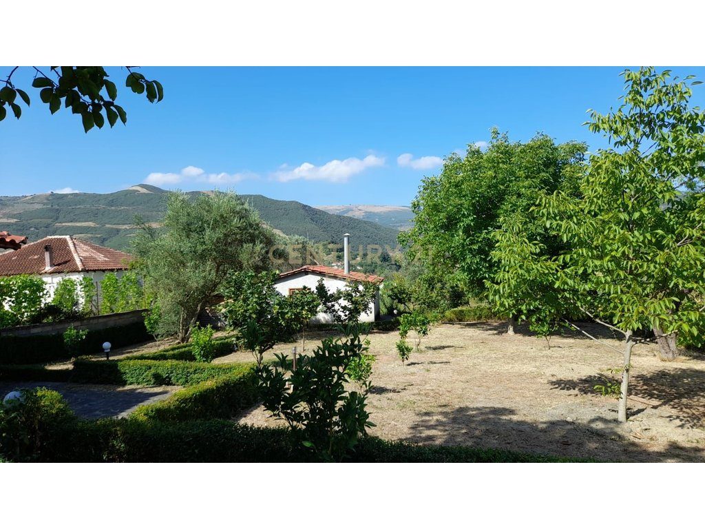 SHESIM FERME 3000M2 ME NDERTESE NE BERAT!
