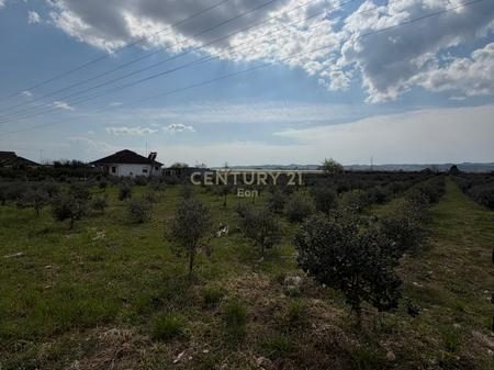 2000m2 TOKE PER NDERTIM 170 METRA NGA DETI TEK SHKEMBI KAVAJES