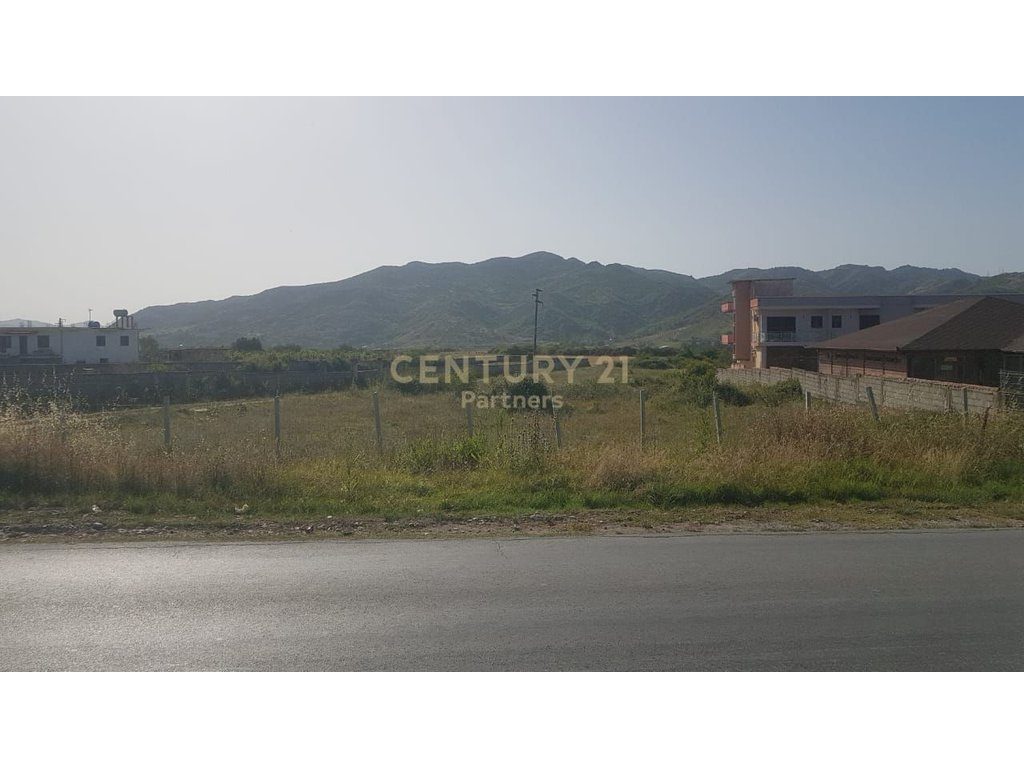 TOKE PER SHITJE NE PEZE BUZE RRUGES KRYESORE