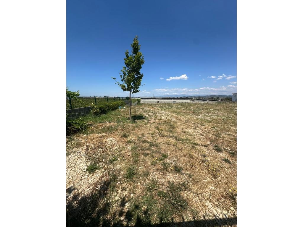 Tokë Shitje prane Vinea Resort  Durrës,  270000€ | 4648 m²