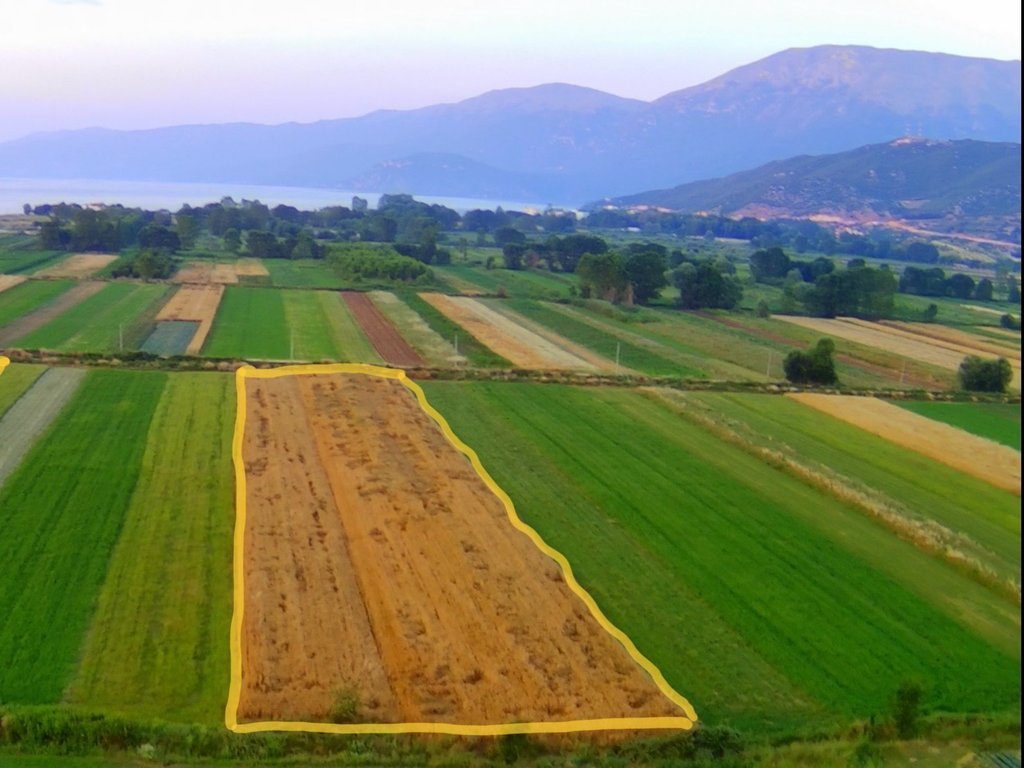 TOKË 2146 M2 PËR SHITJE NË POGRADEC !!!