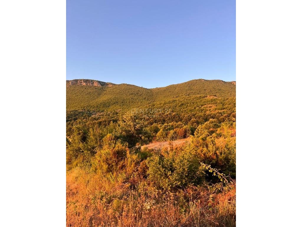 SHITET TOKE 800M2 NE PELLUMBAS-MUNDESI ZGJERIMI DHE NDERTIMI VILE