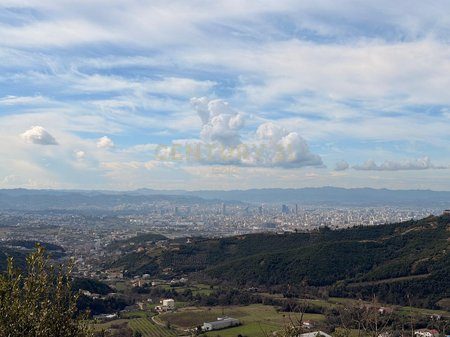 NE ZONEN E DAJTIT PRANE SELECT HILL SHITET TOKE 8000 m²