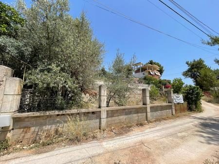 SARANDE, SHESIM TOKE TRUALL