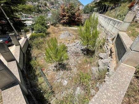 SARANDE, SHESIM TOKE TRUALL