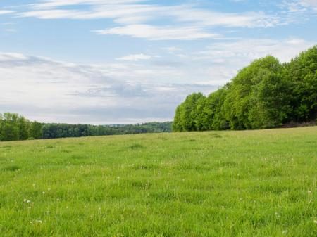 TOKE PER SHITJE TEK LIQENI I THATE!