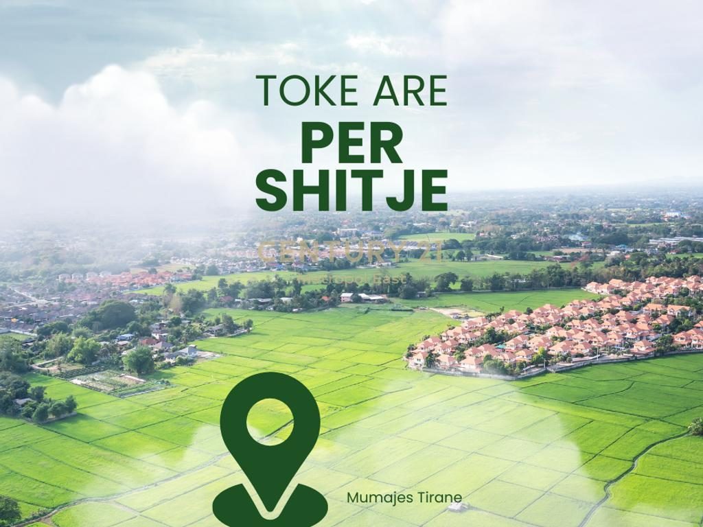 SHITET TOKE ARE NE MUMAJES, TIRANE
