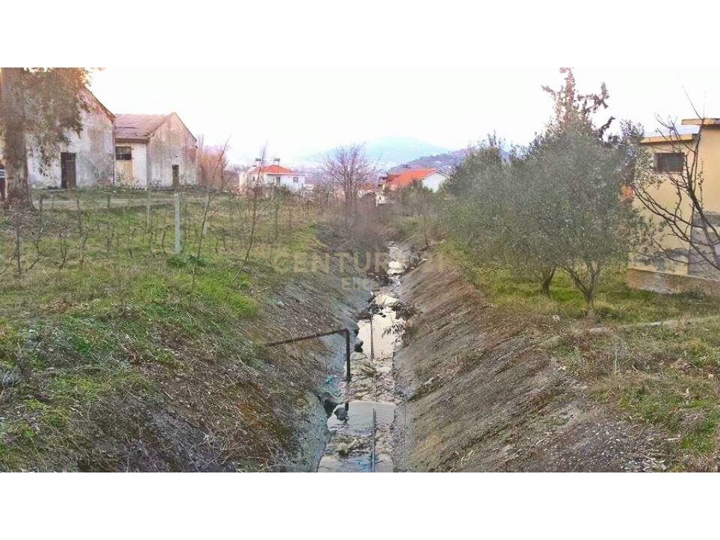 Shitet ish pularia ne Elbasan.