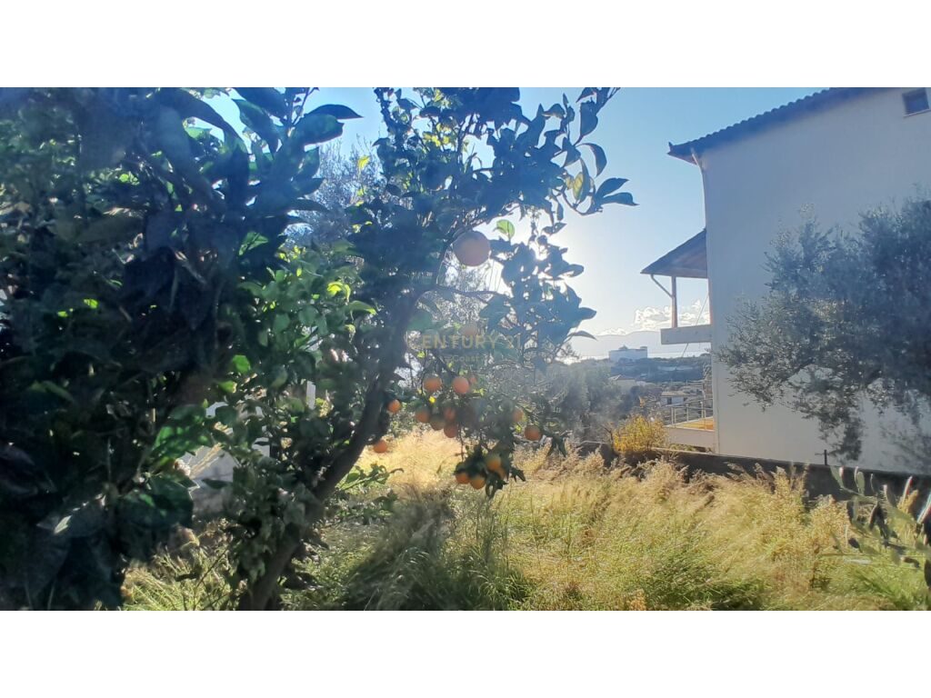SHITET SHTEPI PRIVATE DHE TRUALL,KUZUM BABA VLORE!!