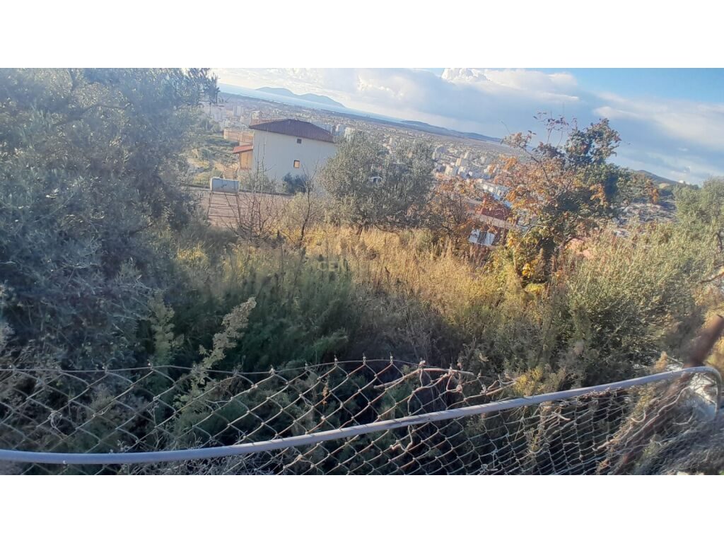 SHITET SHTEPI PRIVATE DHE TRUALL,KUZUM BABA VLORE!!