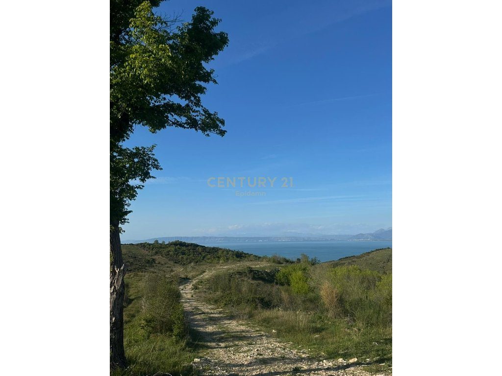 TOKE PER SHITJE ME PAMJE DETI NE  SHETAJ,KEPI I RODONIT   13,500 m²