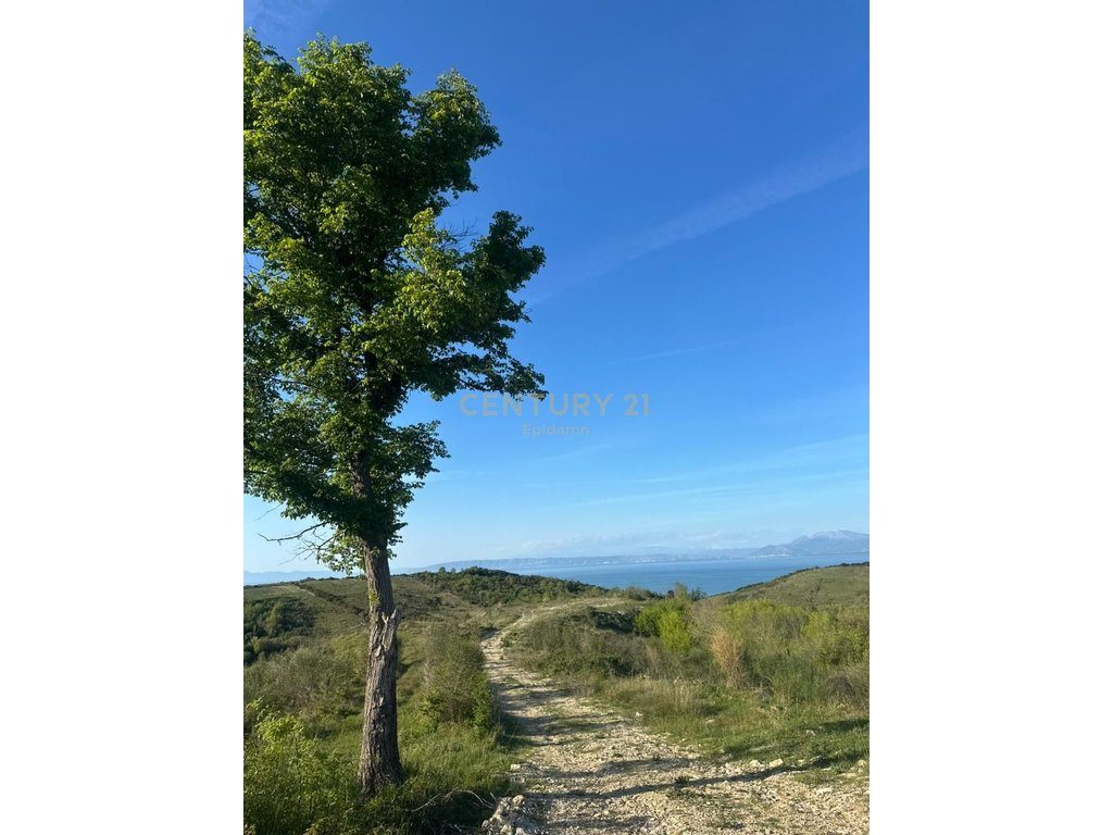 TOKE PER SHITJE ME PAMJE DETI NE  SHETAJ,KEPI I RODONIT   13,500 m²